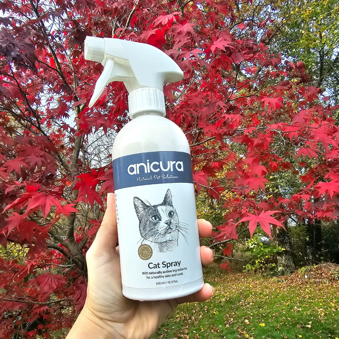 Cat Spray