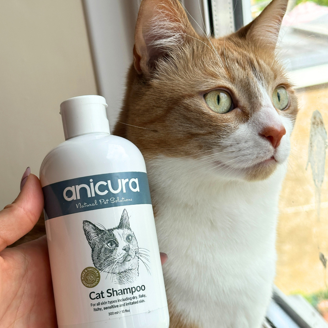 Cat Shampoo