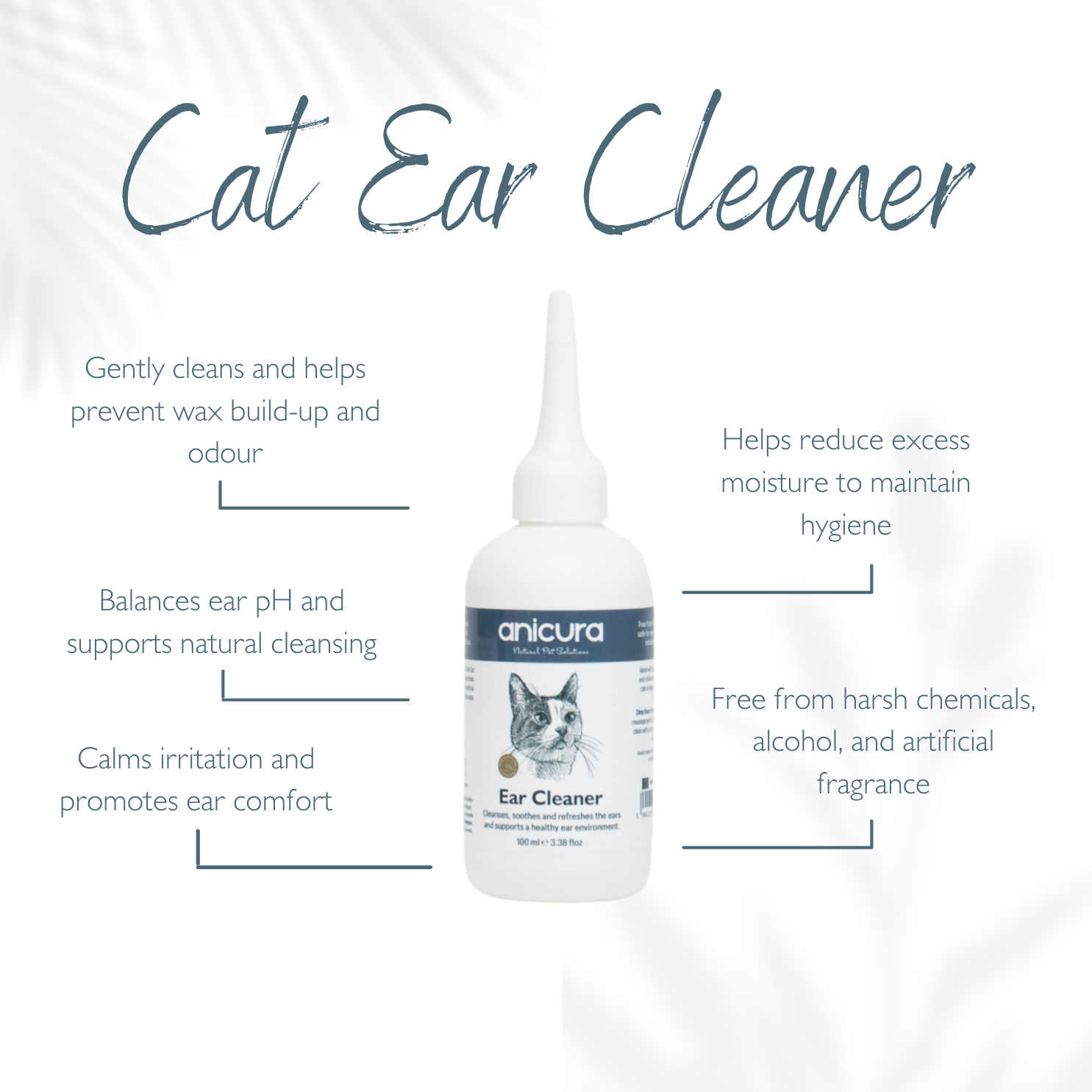 Everyday Cat Essentials Bundle