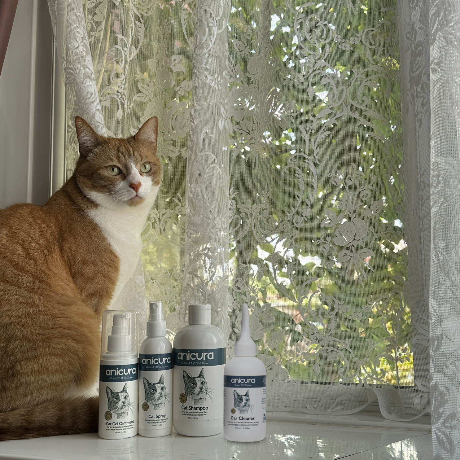 Cat Ear Cleaner