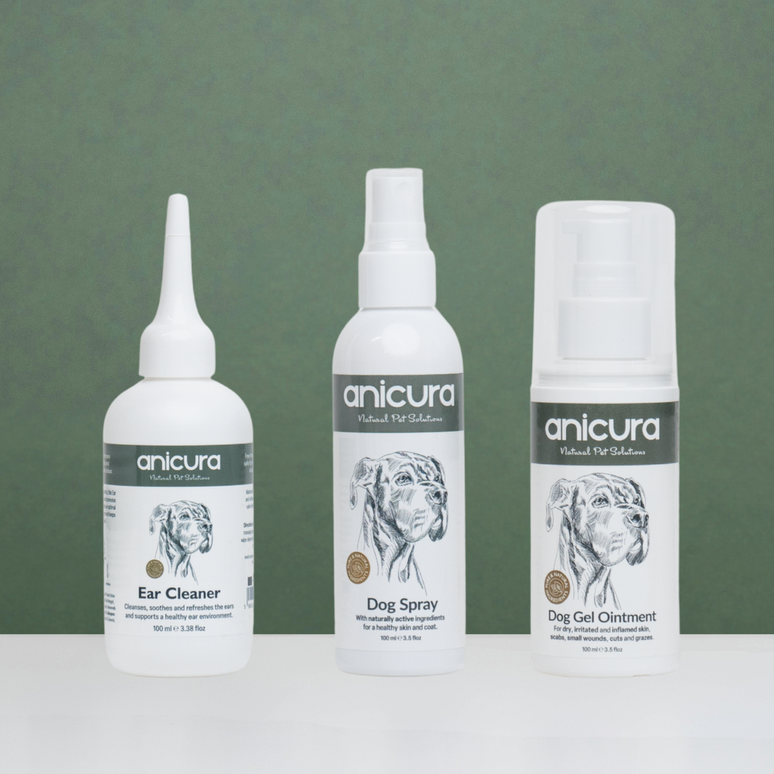 Everyday Dog Essentials Bundle