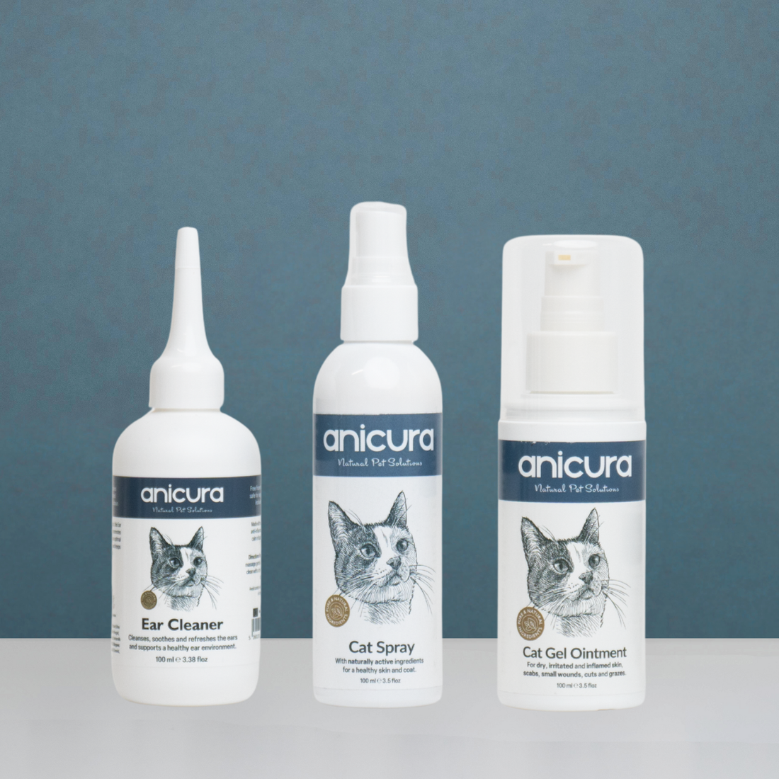 Everyday Cat Essentials Bundle