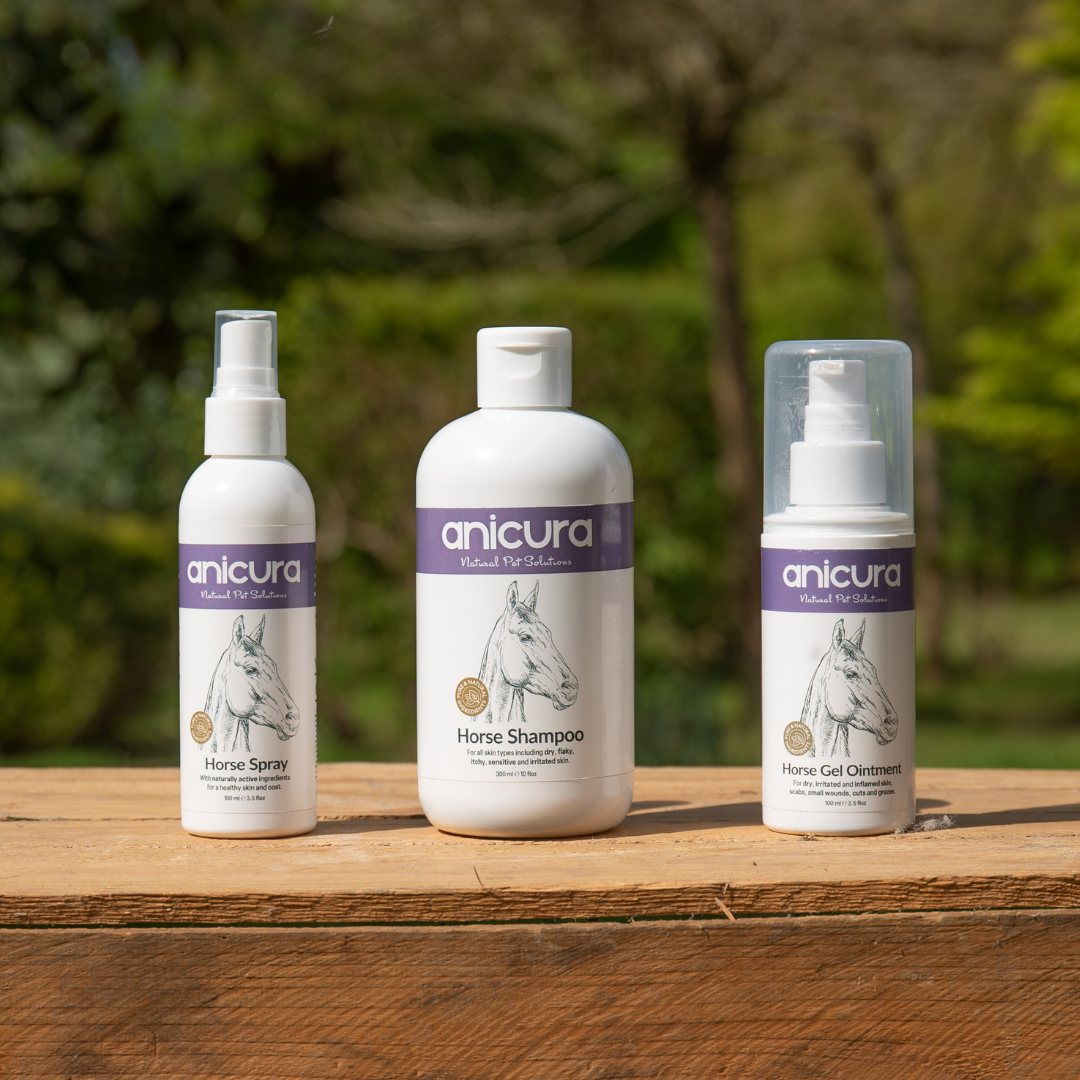 Horse Skin Rescue Bundle