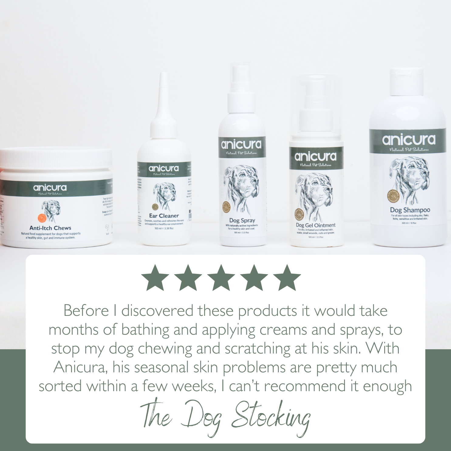 The Dog Stocking - FREE Anti-Itch Chews & Tote Bag!