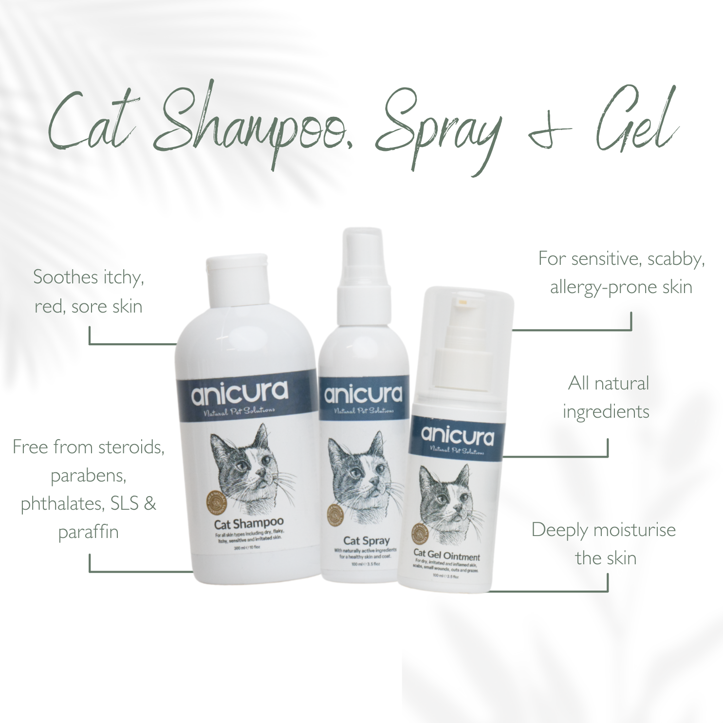 The Cat Stocking - FREE Anti-Itch Chews & Tote Bag!