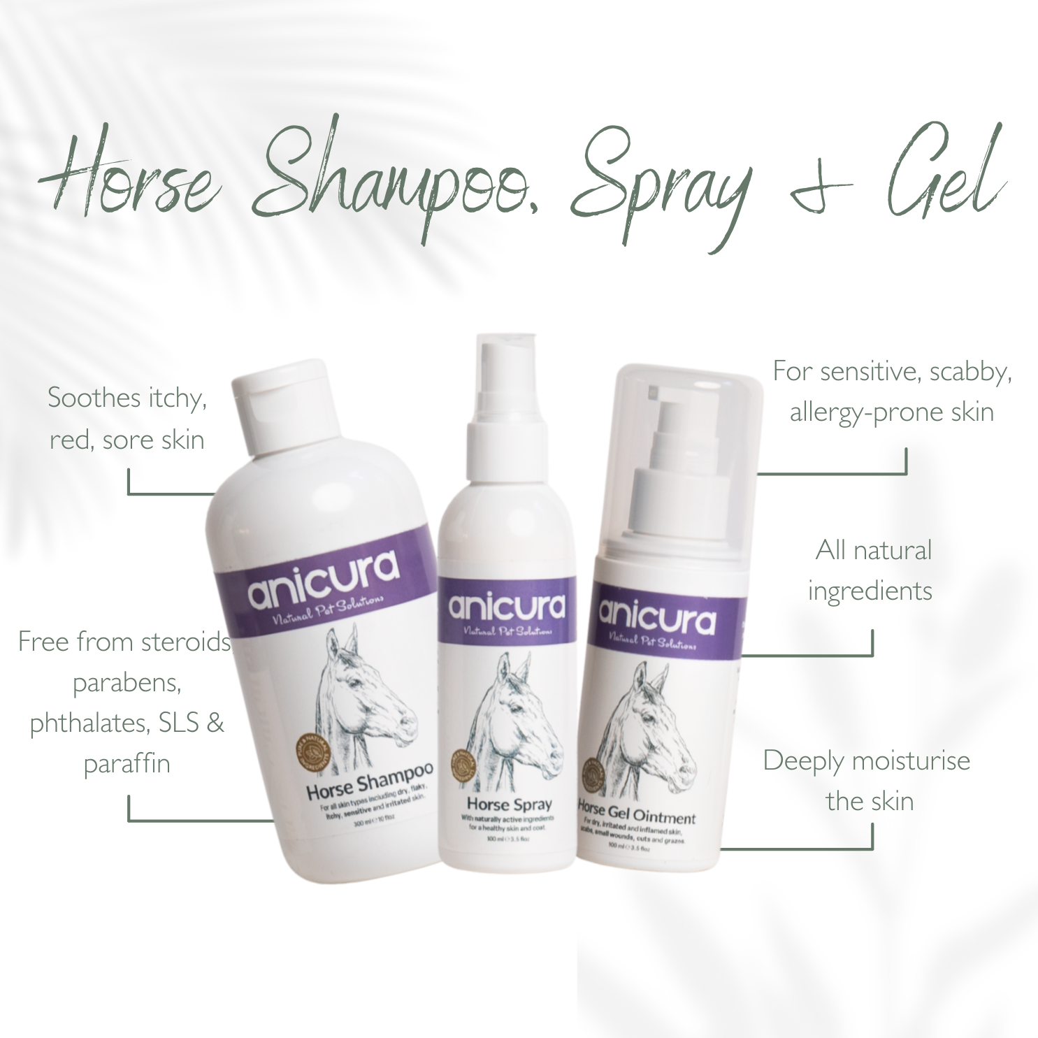 The Horse Total Care Gift- FREE Hoof Oil & Tote Bag!