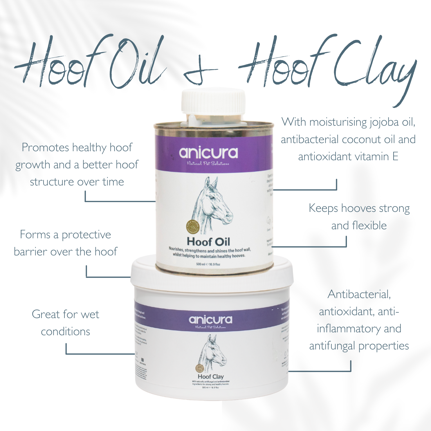 The Horse Total Care Gift- FREE Hoof Oil & Tote Bag!