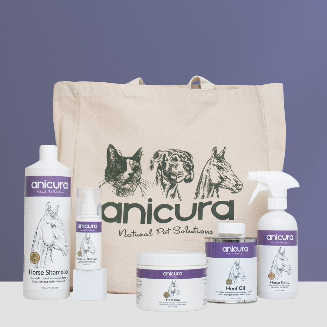 The Horse Total Care Gift- FREE Hoof Oil & Tote Bag!