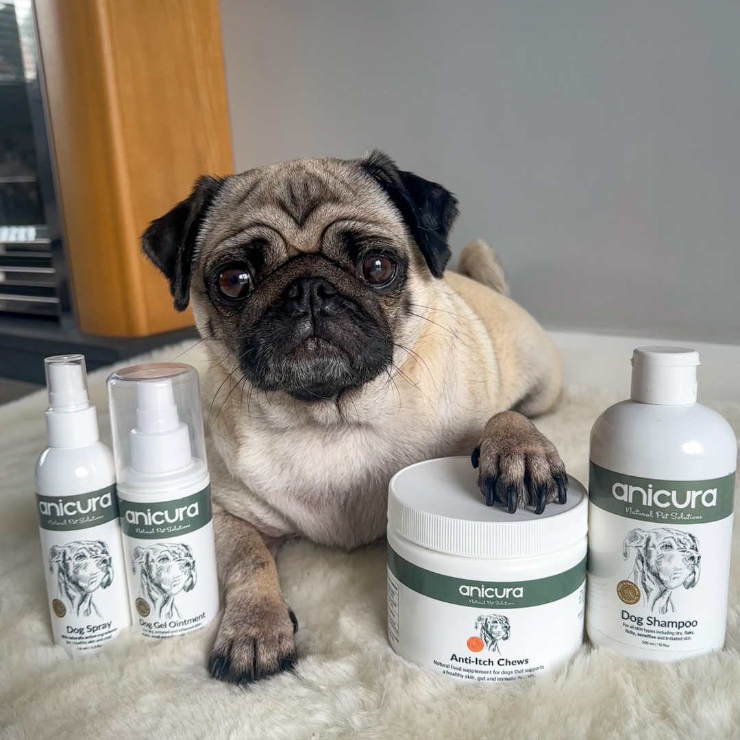 The Dog Total Care Gift - FREE Anti-Itch Chews & Tote Bag!