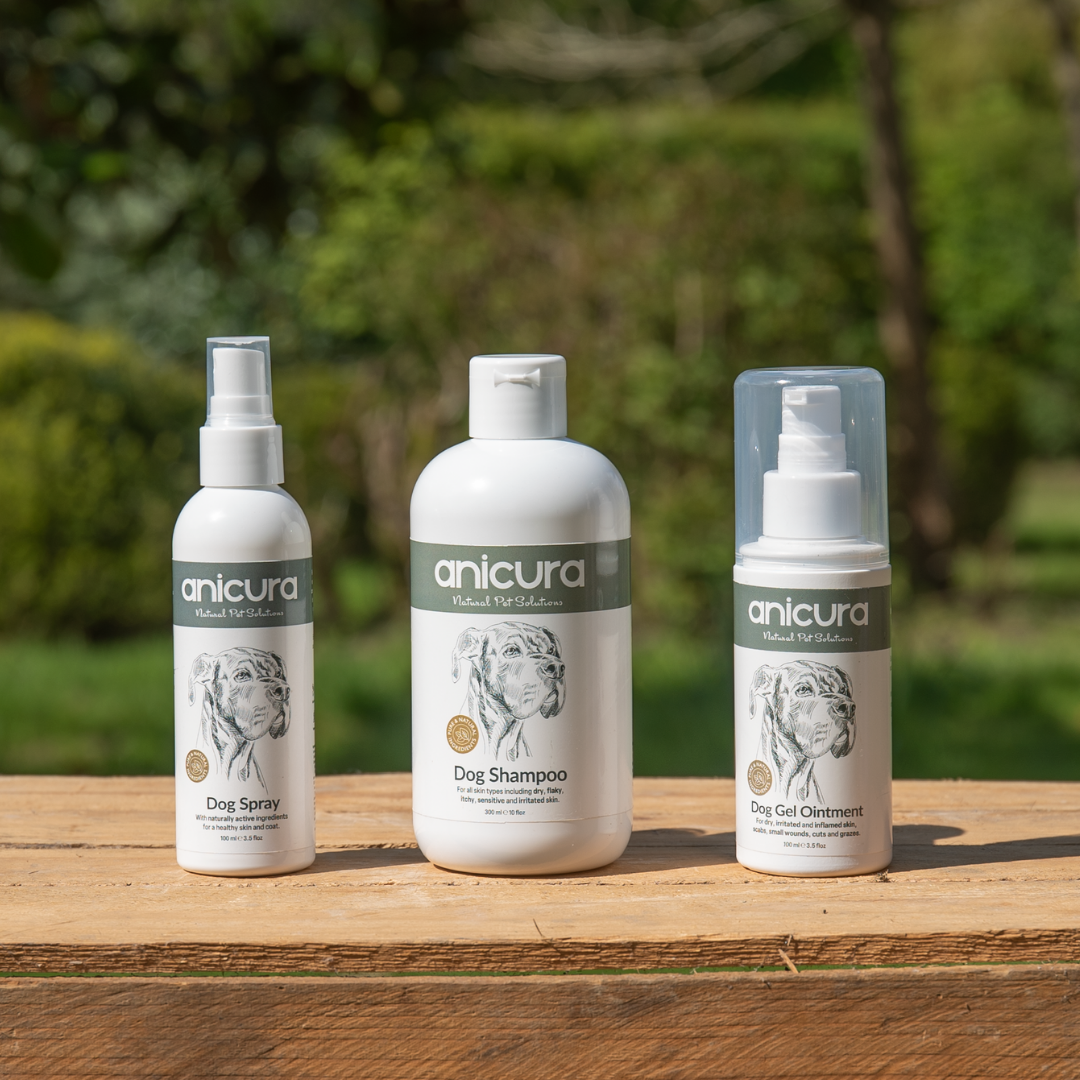 Ultimate Anti-Itch Bundle for Dogs