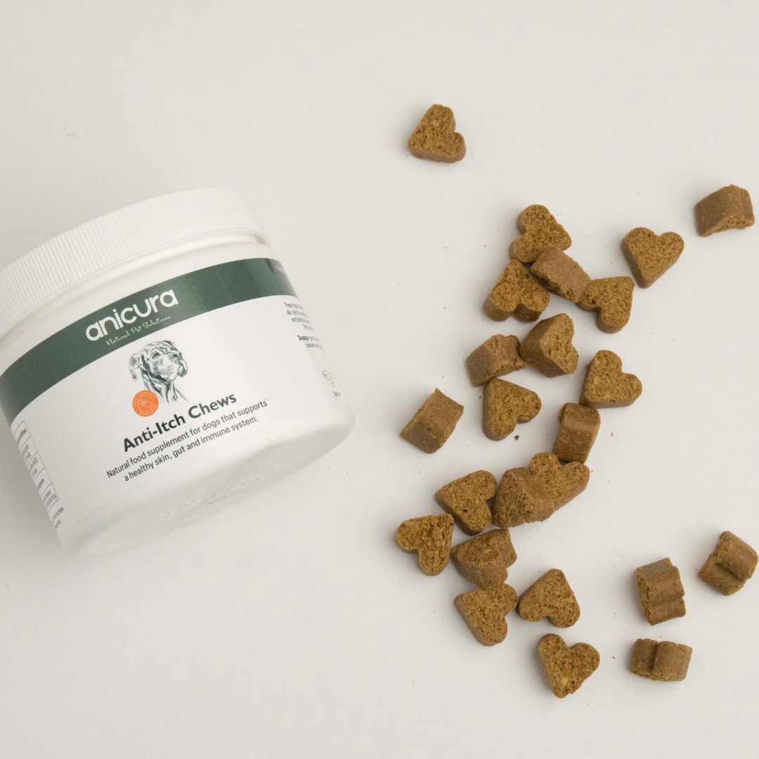 Ultimate Anti-Itch Bundle for Dogs