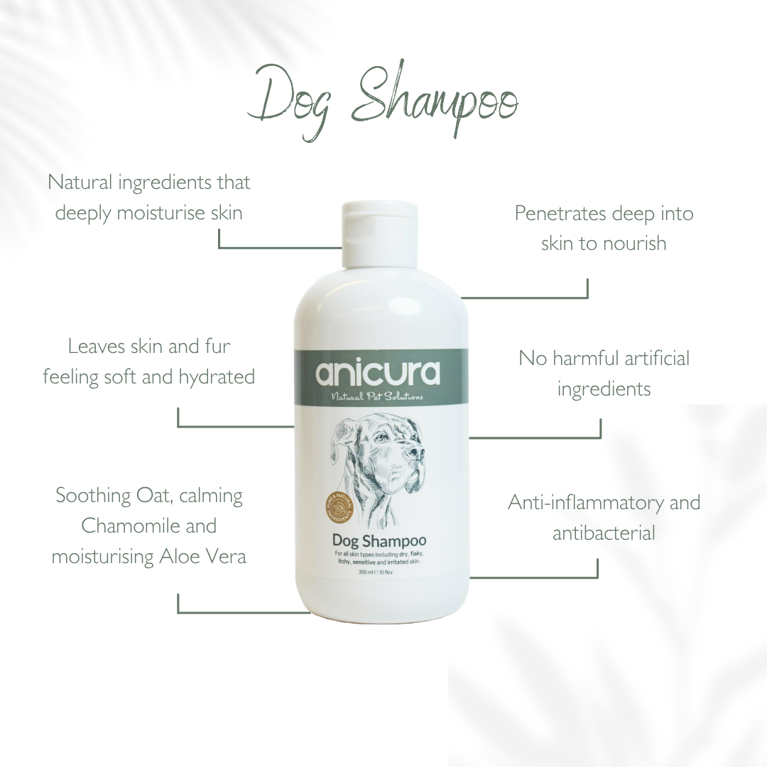 Ultimate Anti-Itch Bundle for Dogs