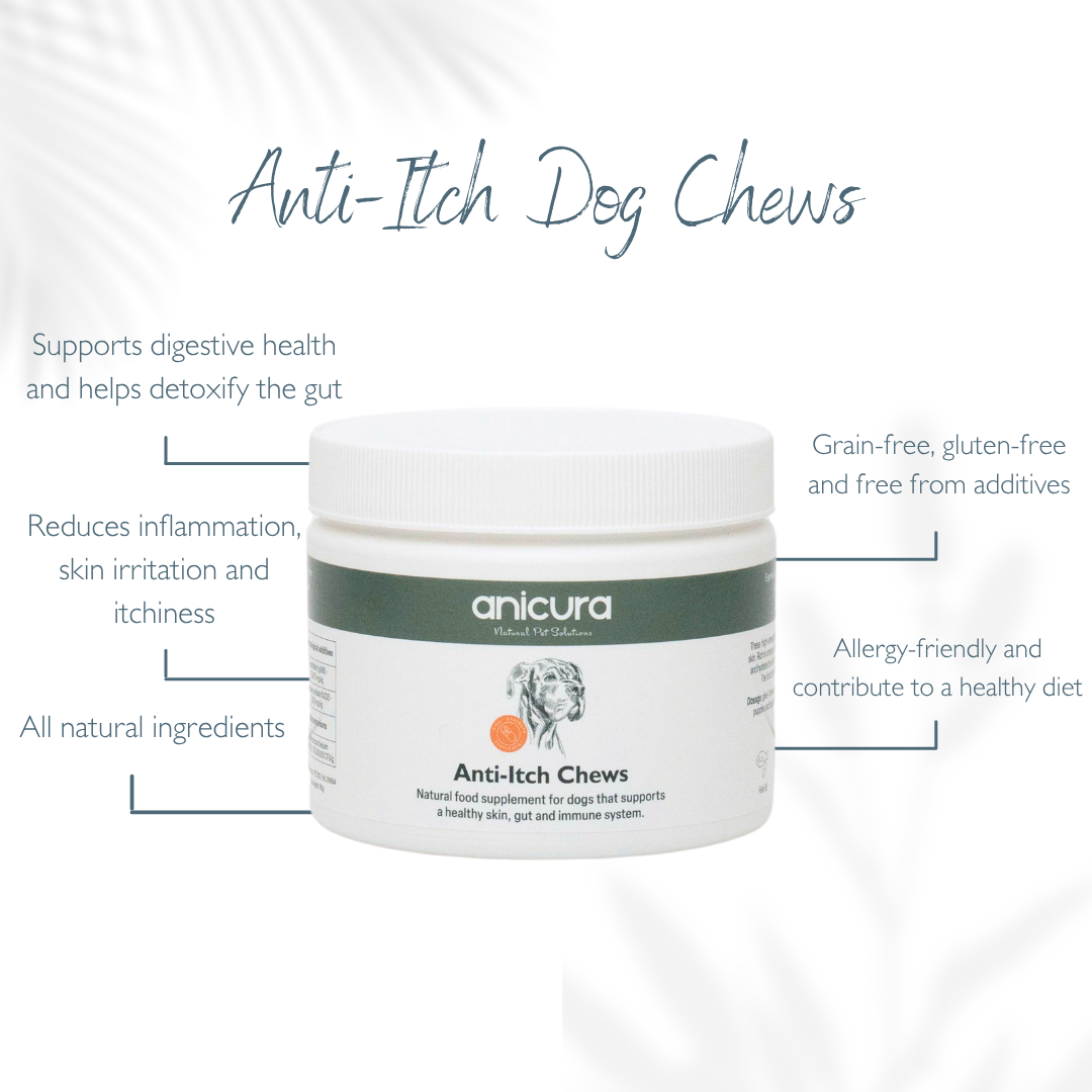 The Dog Total Care Gift - FREE Anti-Itch Chews & Tote Bag!
