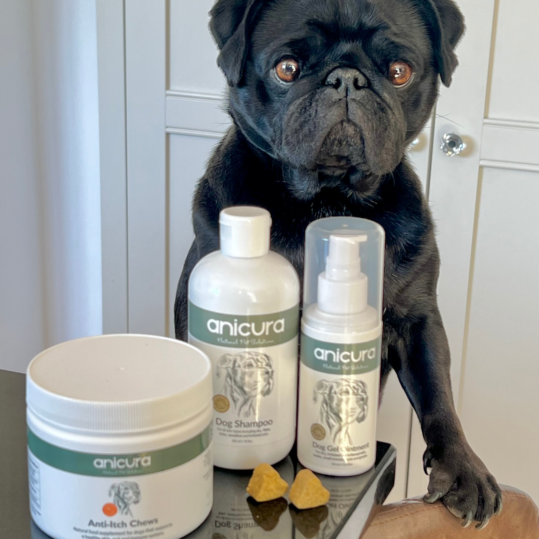 Ultimate Anti-Itch Bundle for Dogs
