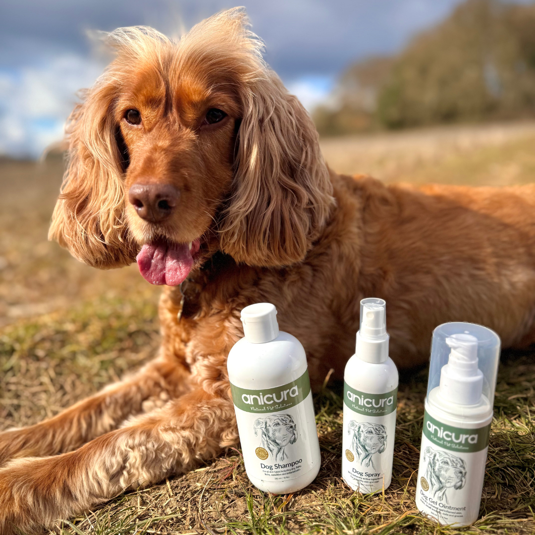 Dog Skin Rescue Bundle