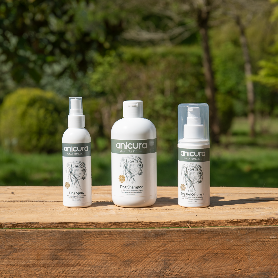 Dog Skin Rescue Bundle