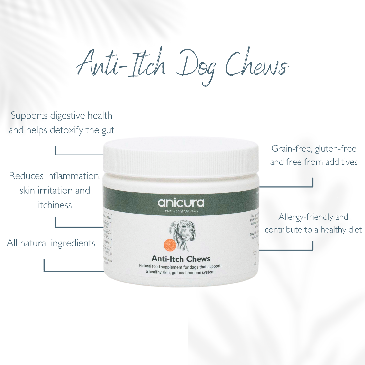 Anti-Itch Dog Chews