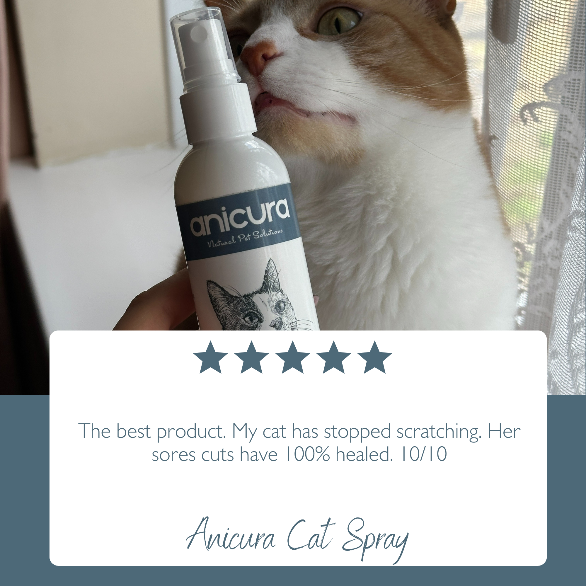 Cat Spray