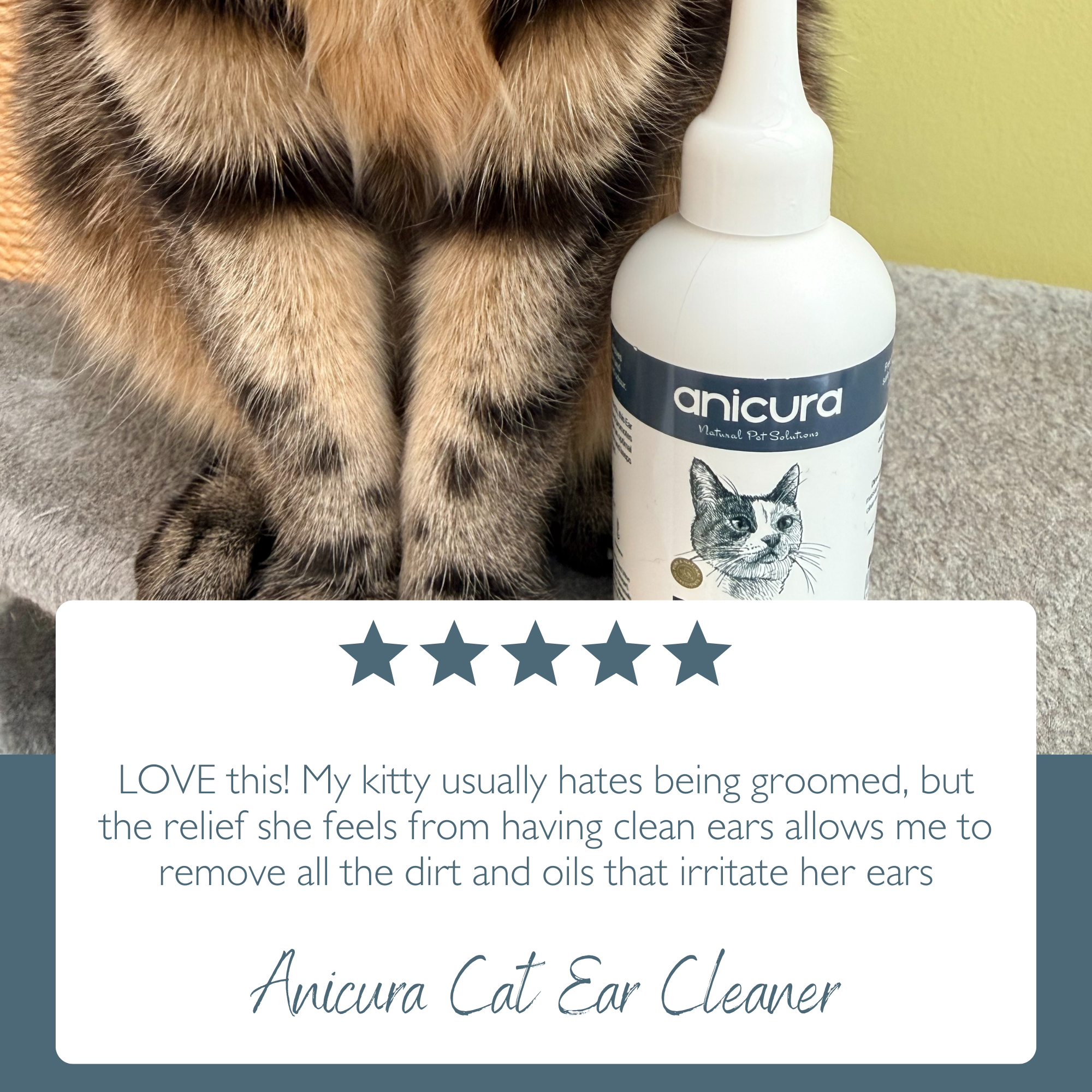 Cat Ear Cleaner