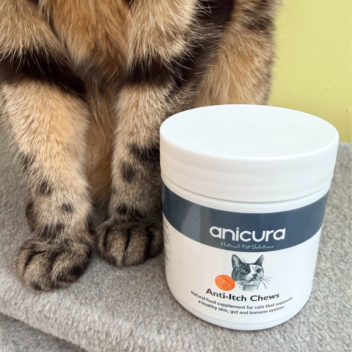 Anti-Itch Cat Chews
