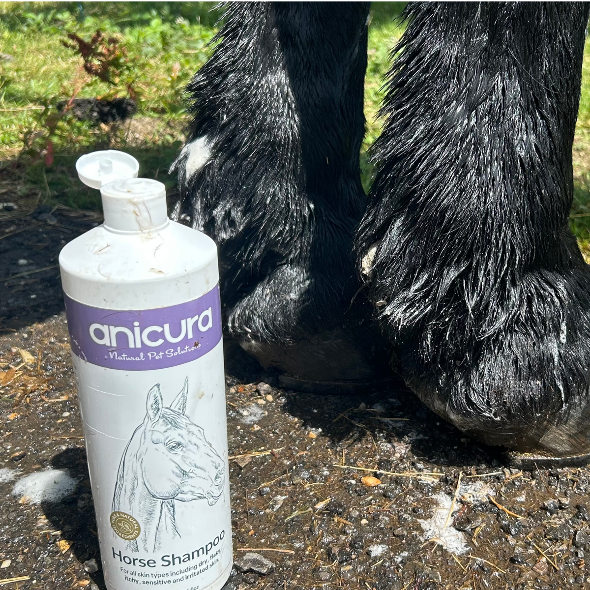 Horse Shampoo