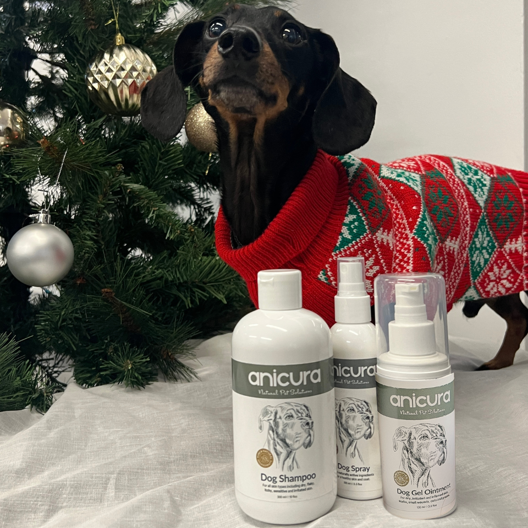 The Dog Stocking - FREE Anti-Itch Chews & Tote Bag!