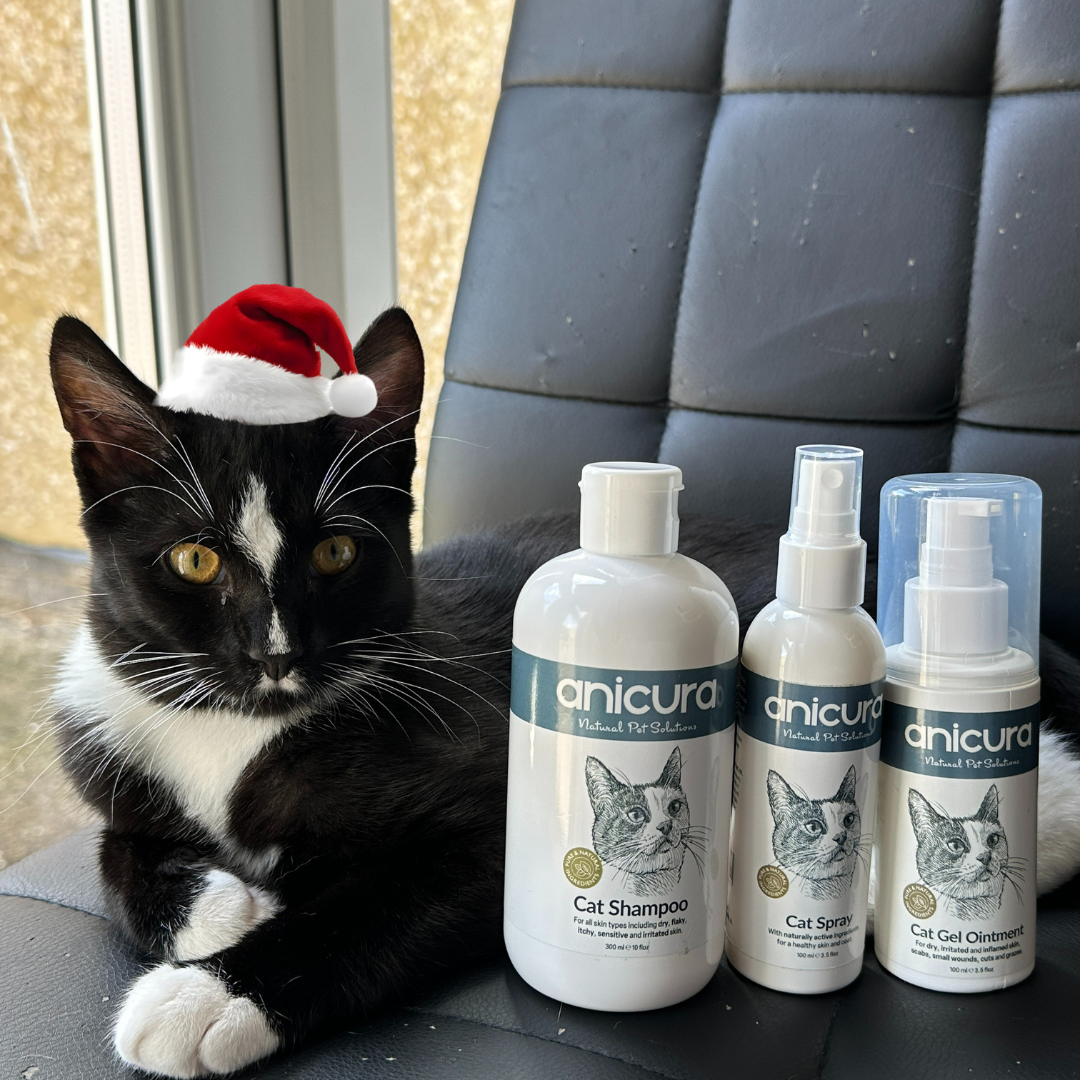 The Cat Stocking - FREE Anti-Itch Chews & Tote Bag!