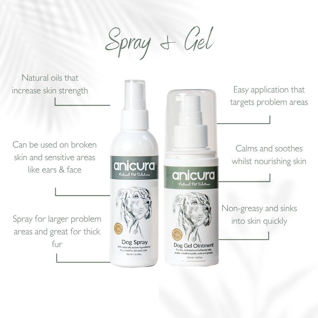 Ultimate Anti-Itch Bundle for Dogs