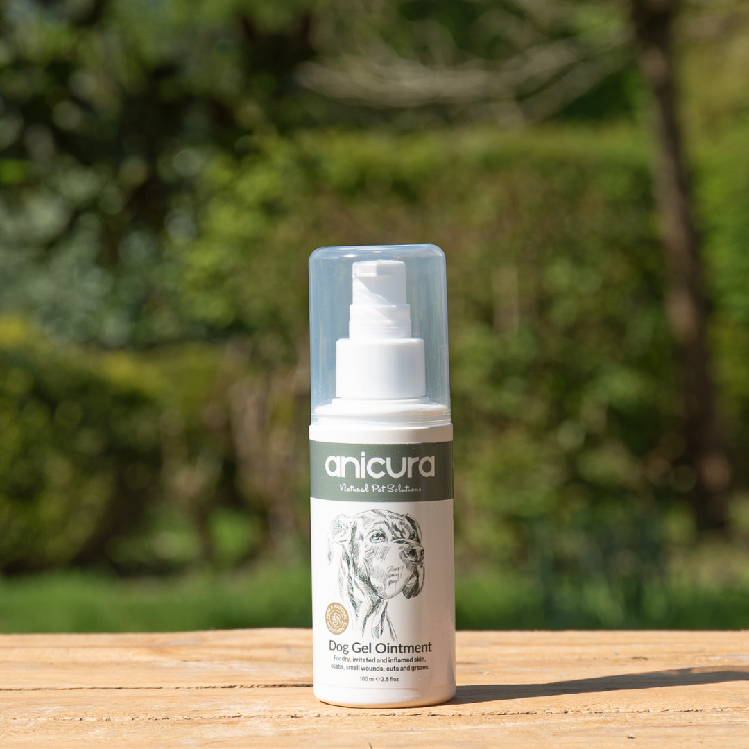 Dog Gel