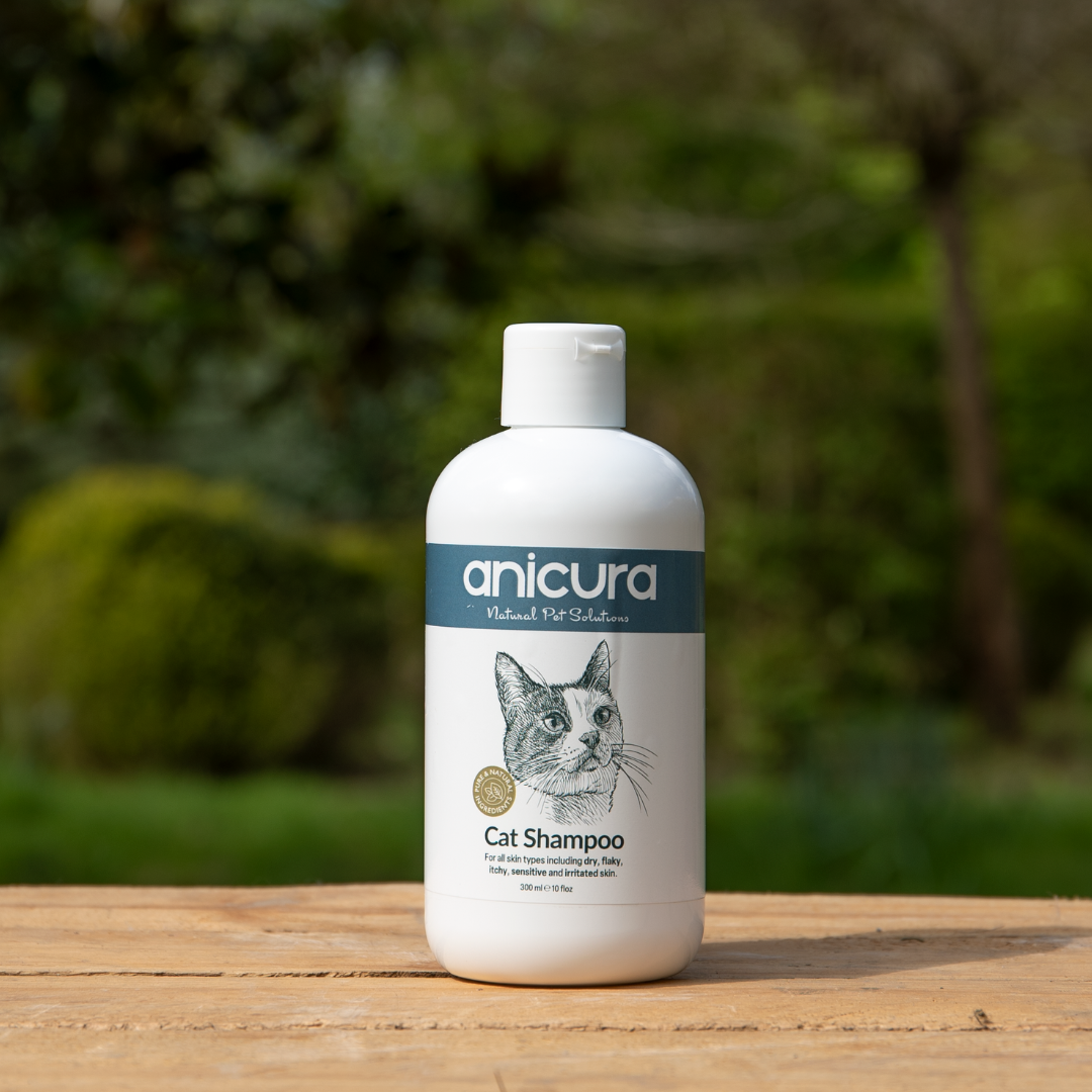 Cat Shampoo