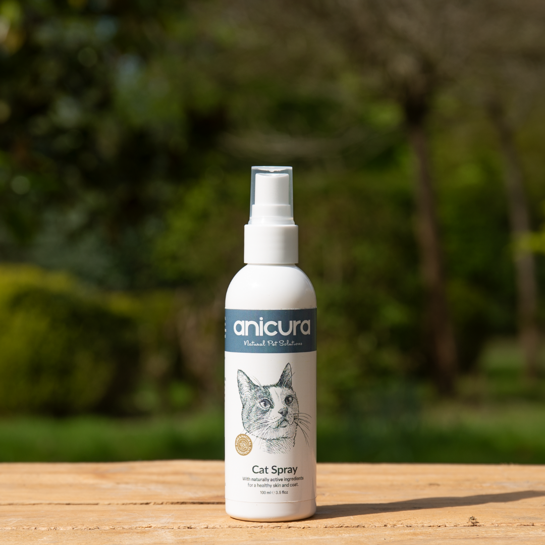 Cat Spray