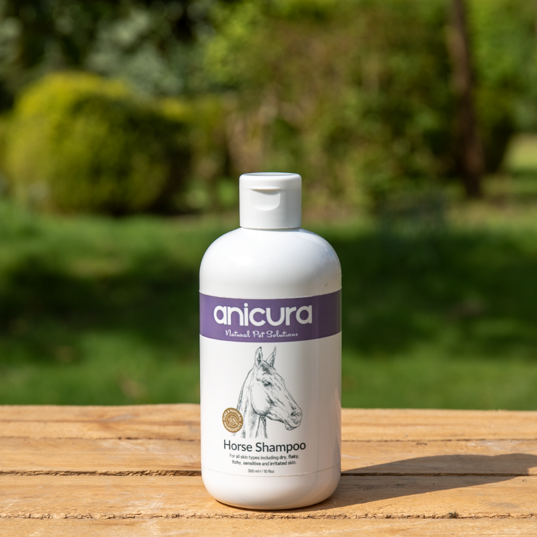 Horse Shampoo