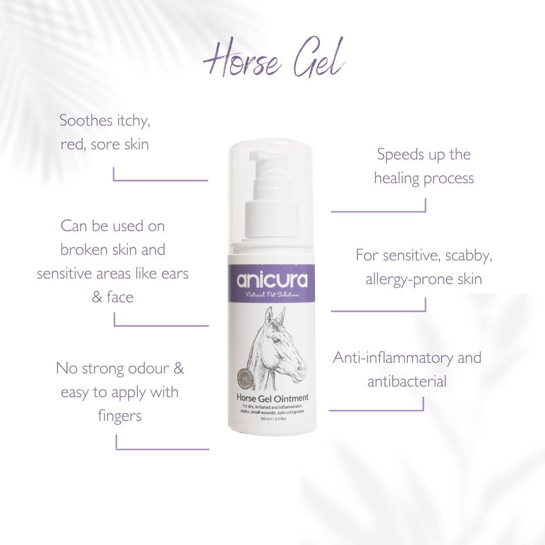 Horse Gel Twin Pack