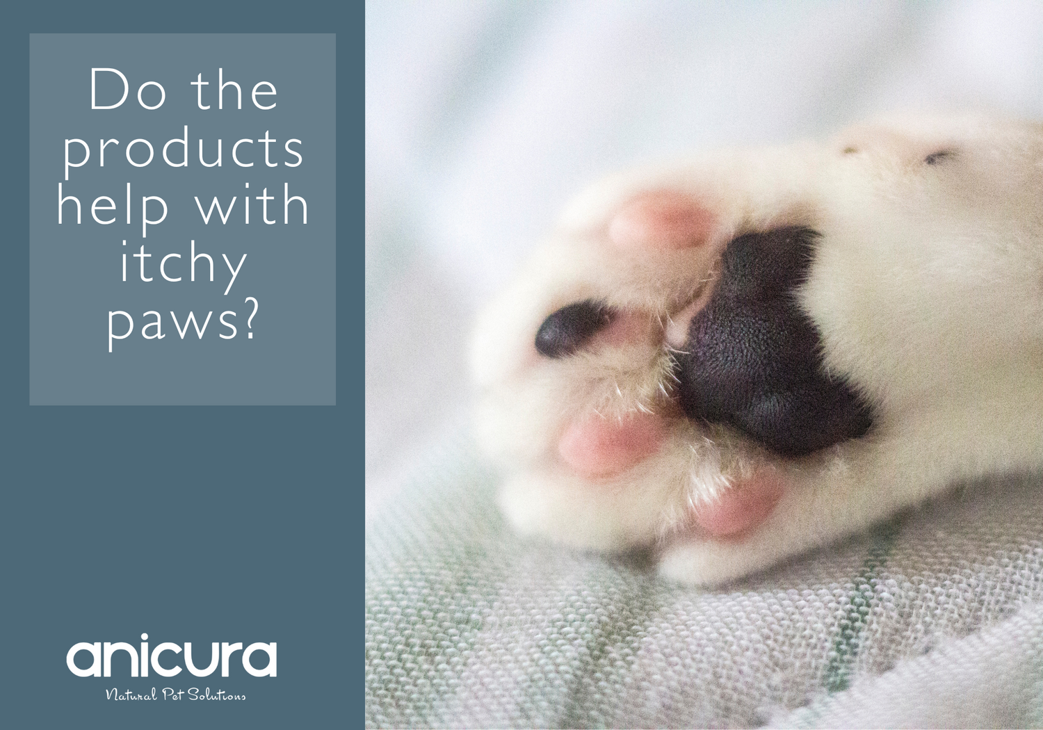 Do the products help with itchy paws?