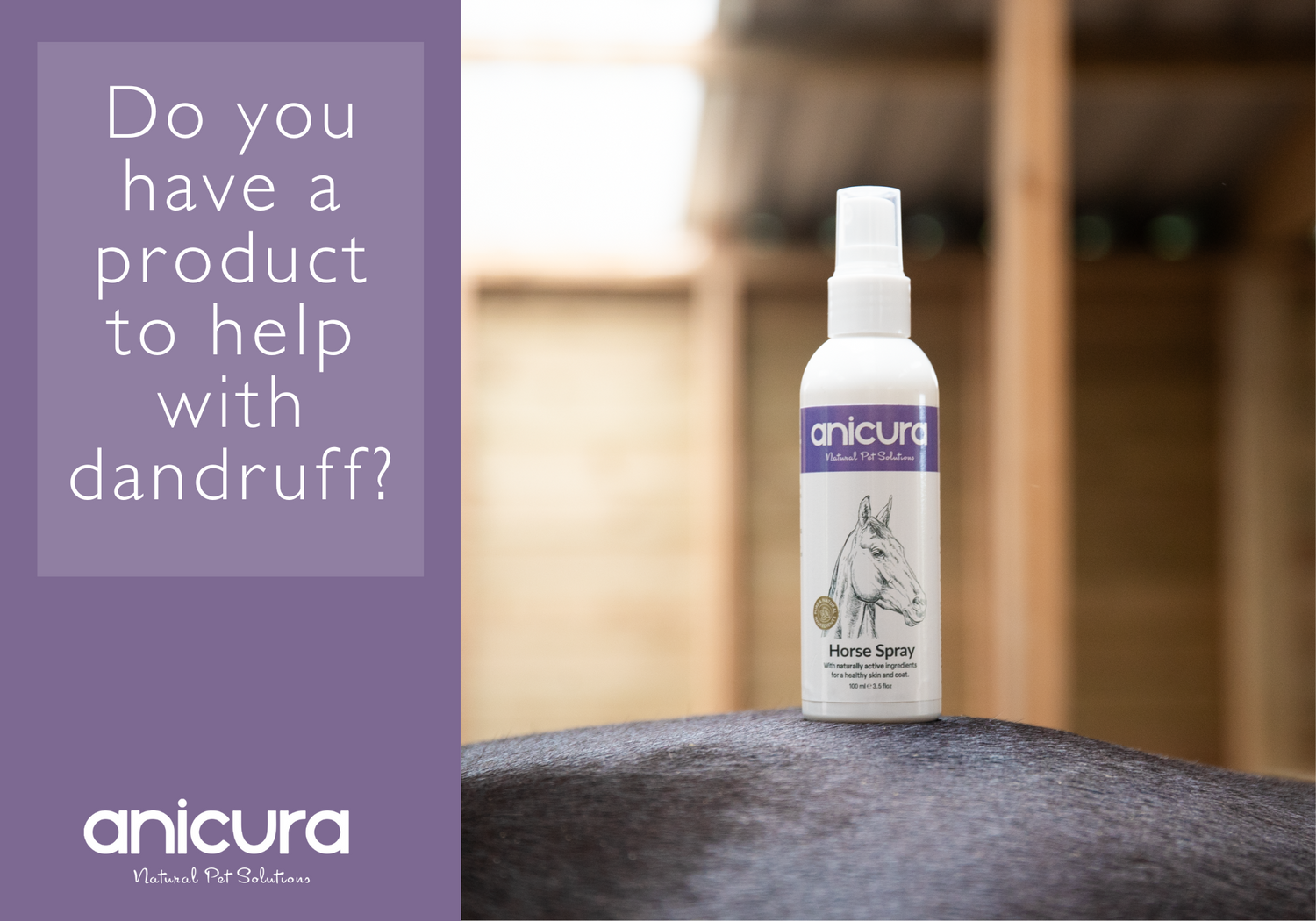 Do you have a product to help with dandruff?