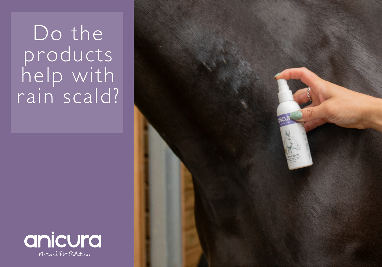 Do the products help with rain scald?