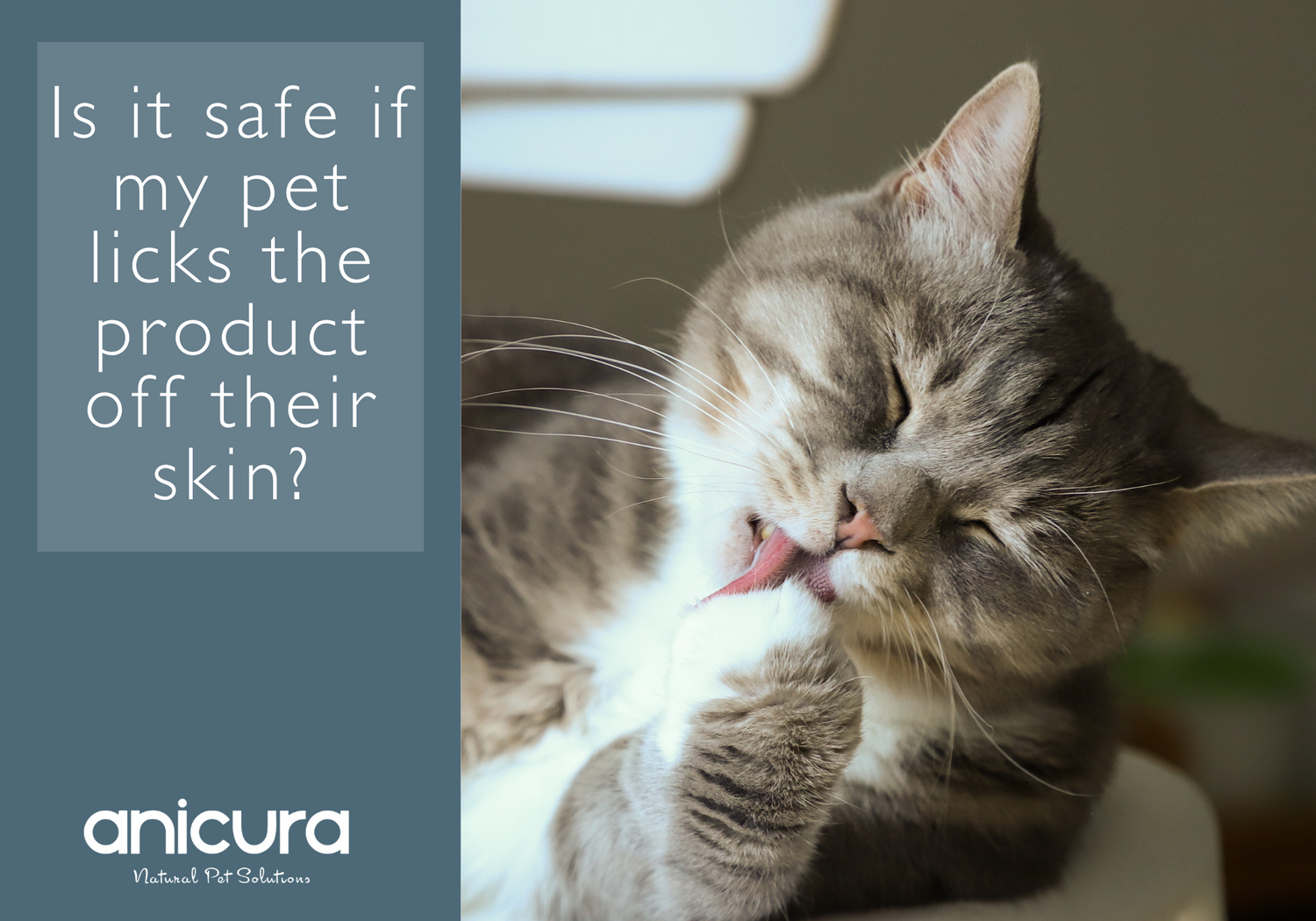 Is it safe if my pet licks the product off the skin?