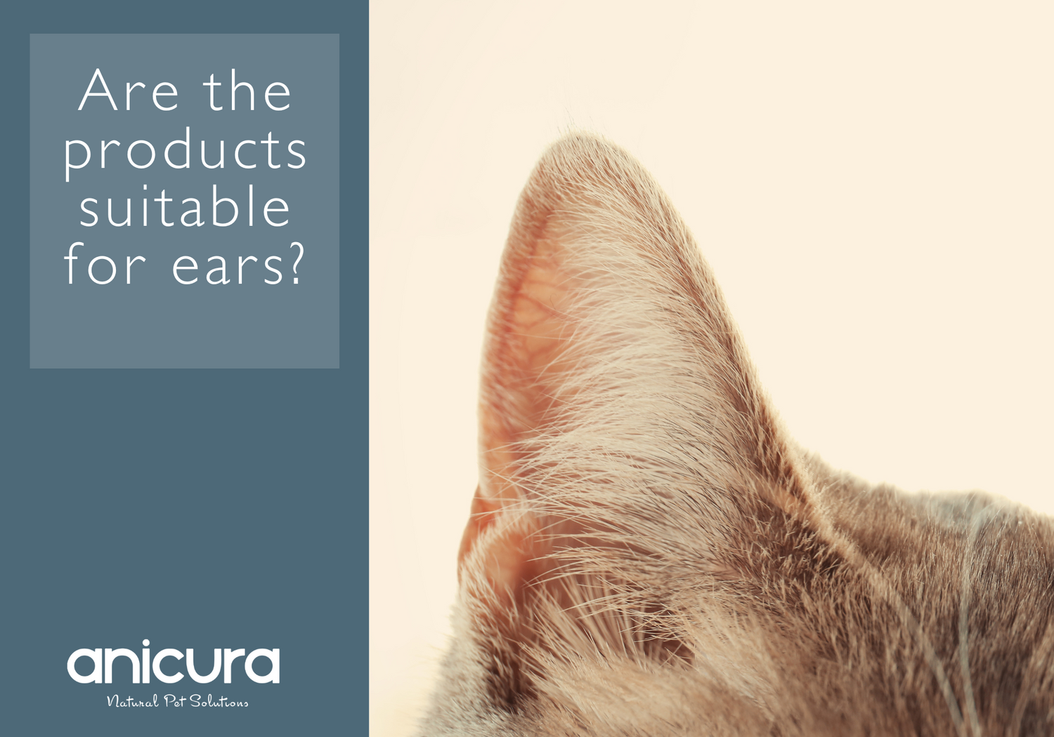 Are the products suitable for ears?