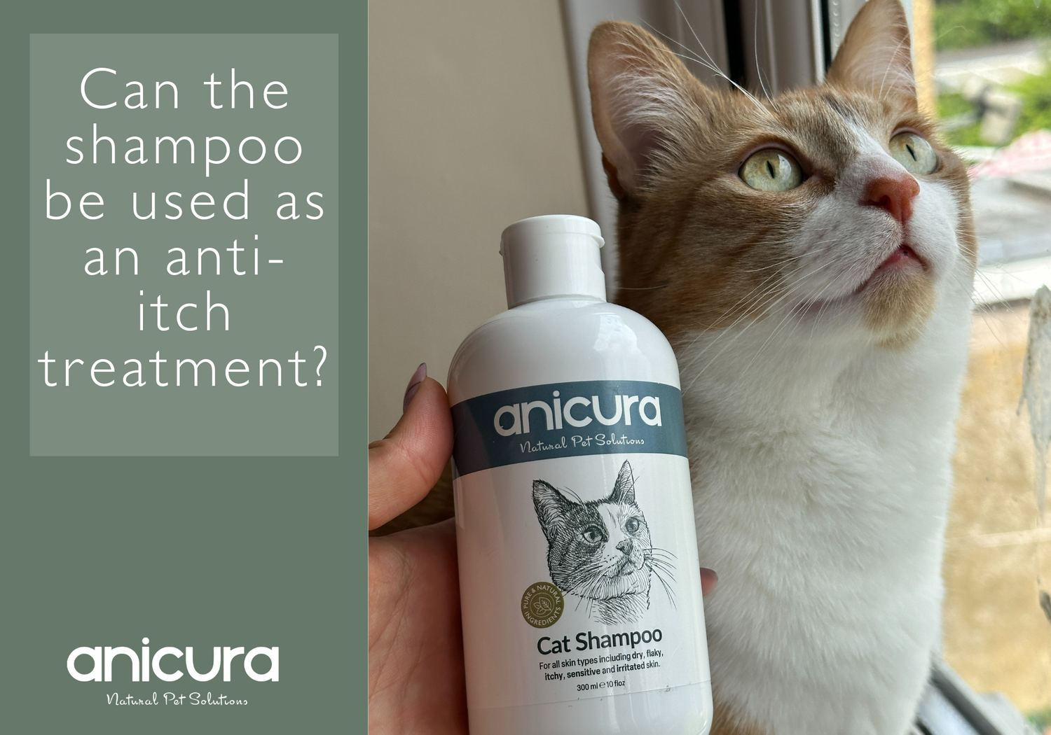 Can the shampoo be used as anti-itch treatment?