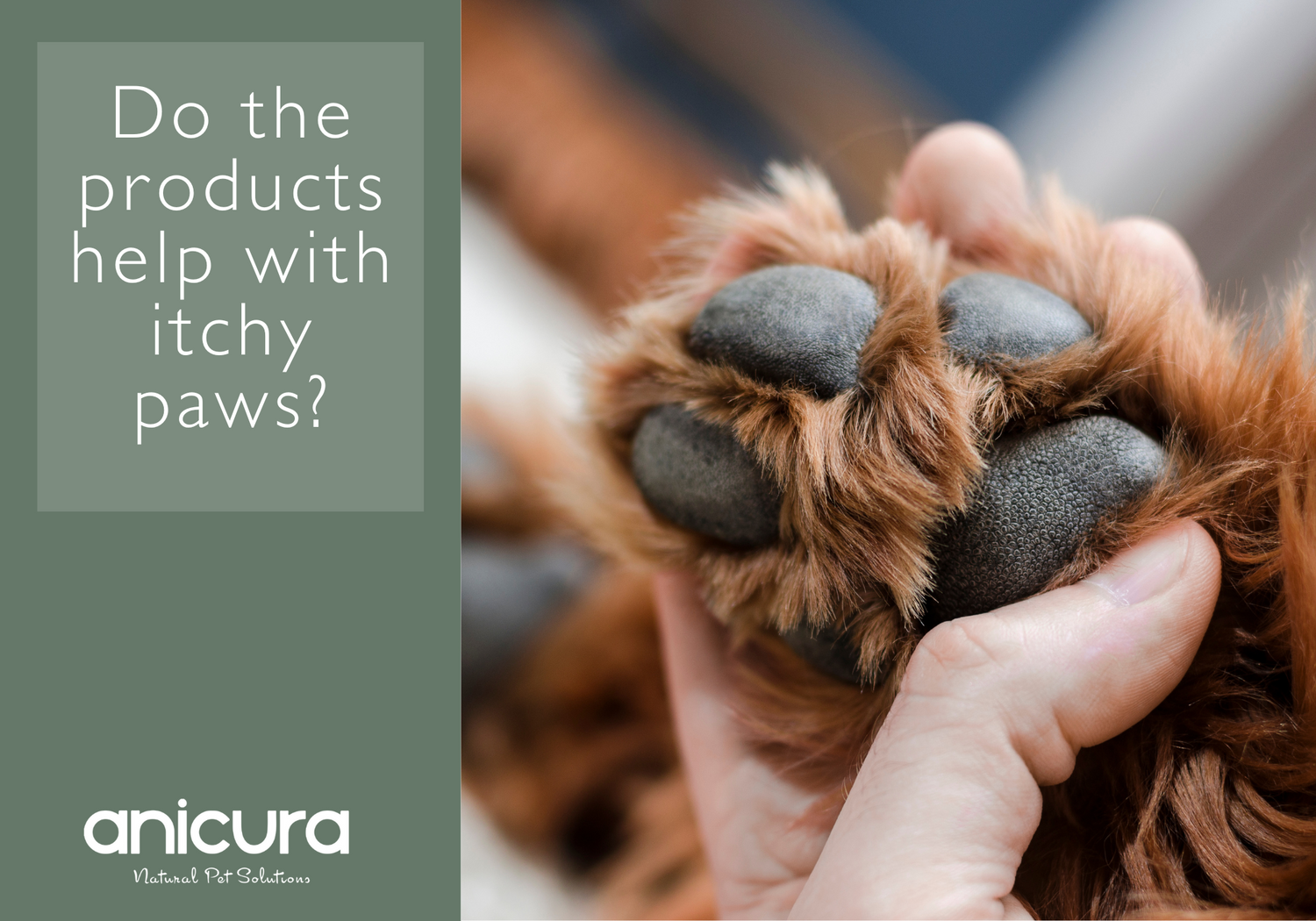 Do the products help with itchy paws?