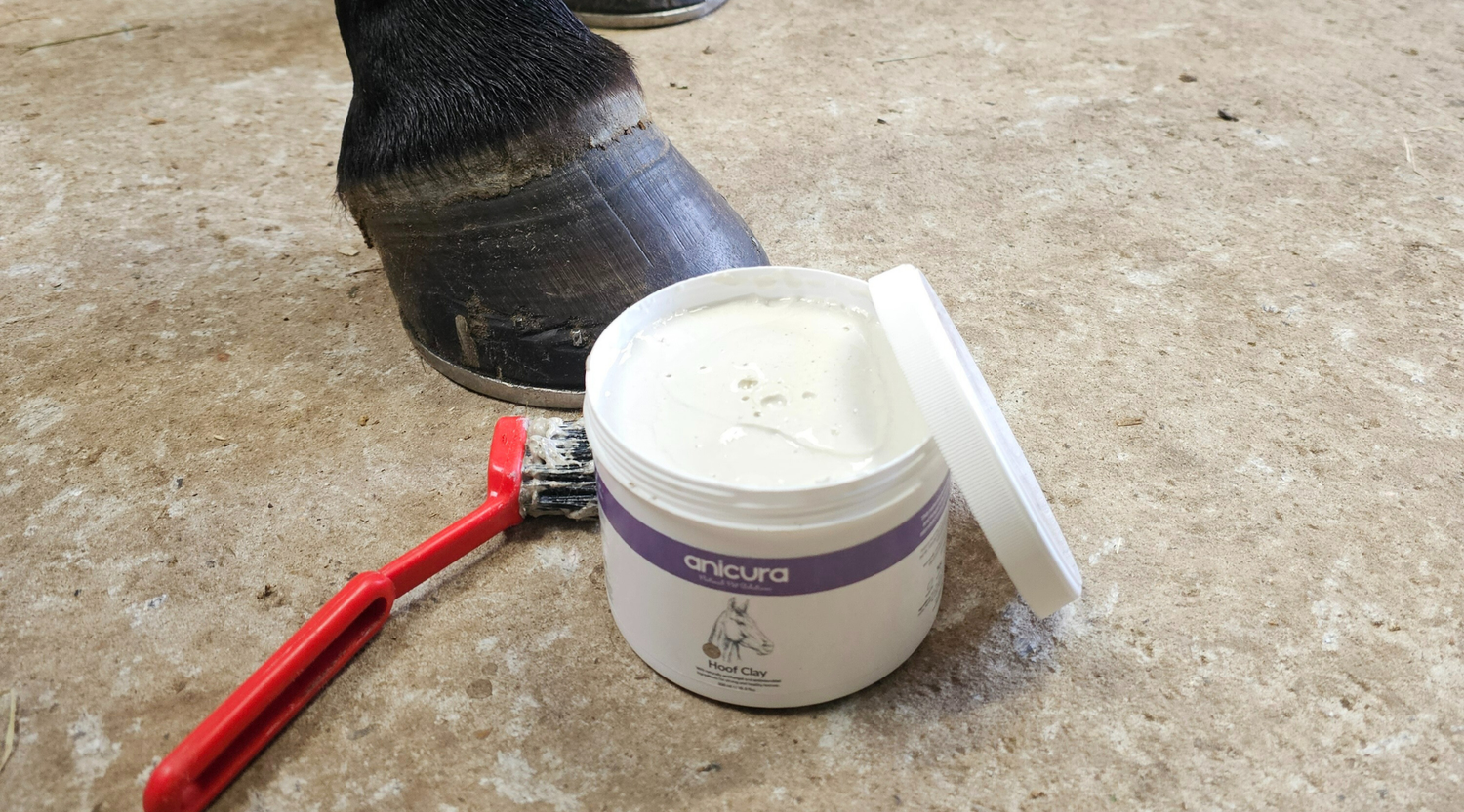 Introducing our NEW Horse Hoof Clay