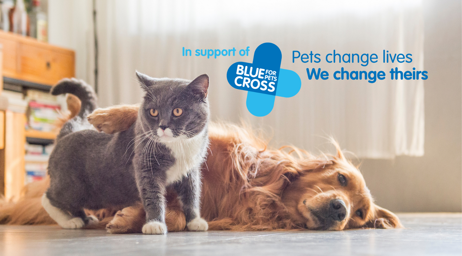 We’ve teamed up with Blue Cross!