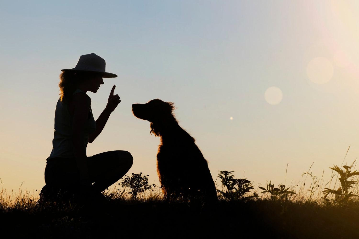 BLUE CROSS' TIPS FOR TRAINING YOUR PET