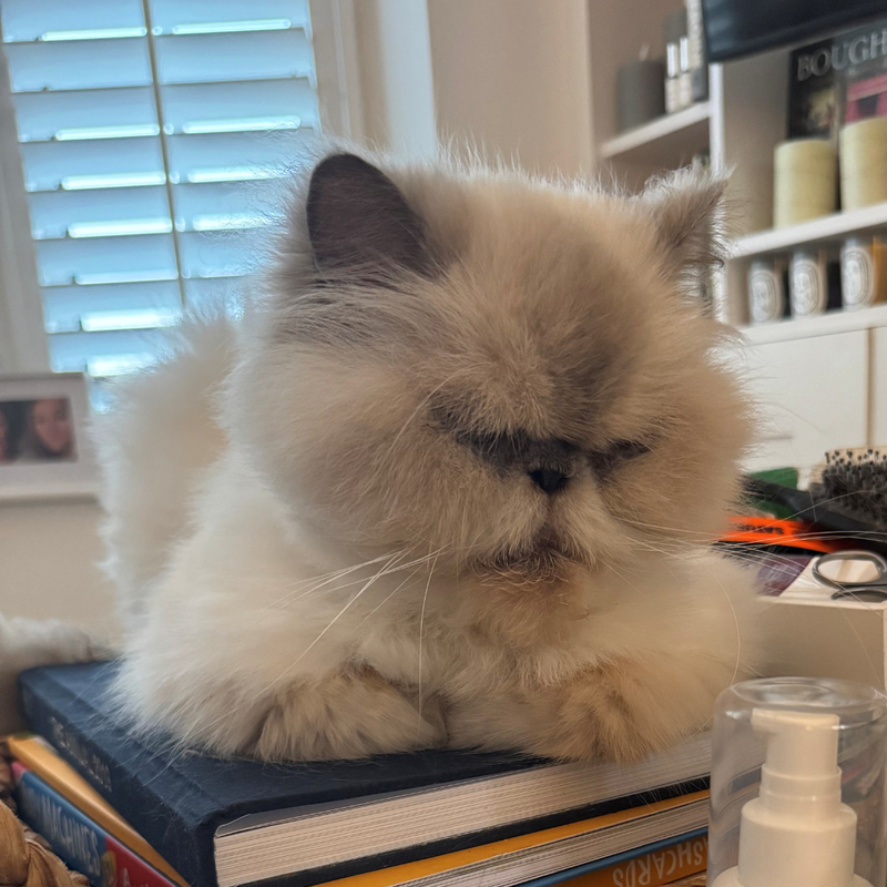 Charmaine P.