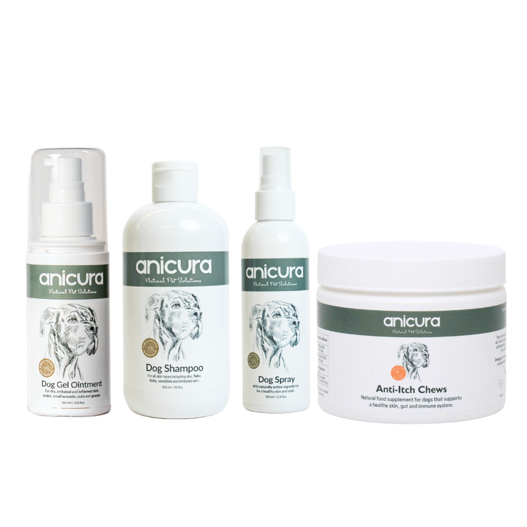 Ultimate Anti-Itch Bundle for Dogs