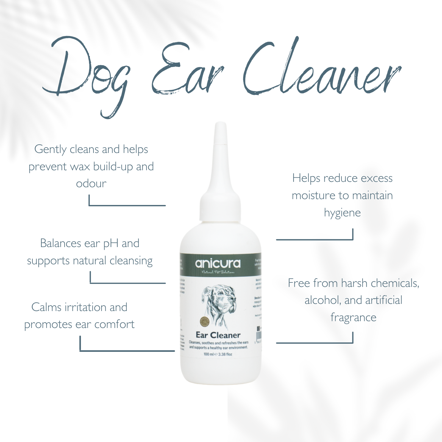 Dog Ear Cleaner