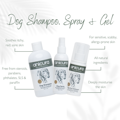 The Dog Stocking - FREE Anti-Itch Chews &amp; Tote Bag!