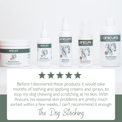 The Dog Stocking - FREE Anti-Itch Chews &amp; Tote Bag!
