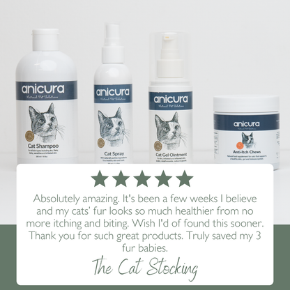 The Cat Stocking - FREE Anti-Itch Chews &amp; Tote Bag!