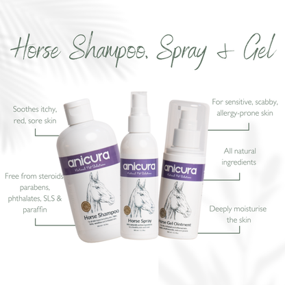 The Horse Stocking - FREE Hoof Oil &amp; Tote Bag!